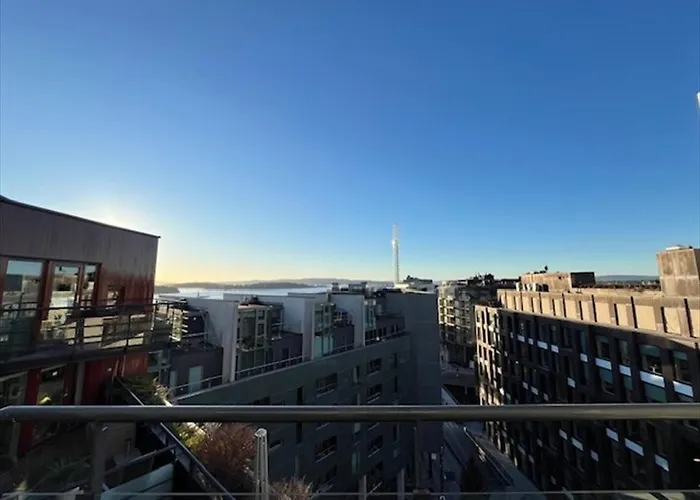 Quiet Business In Frogner *